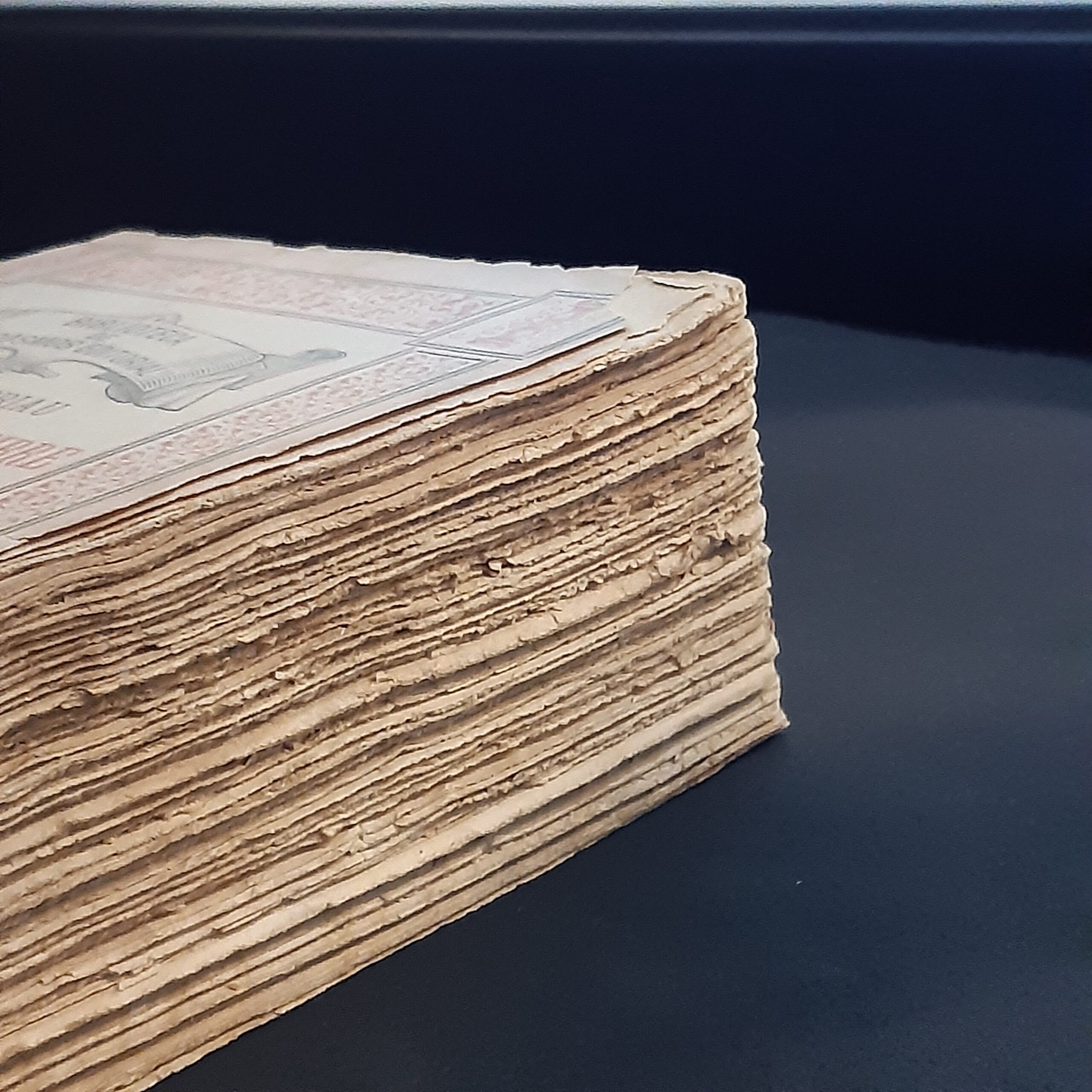 Detail eines empfindlichen historischen Buchrückens